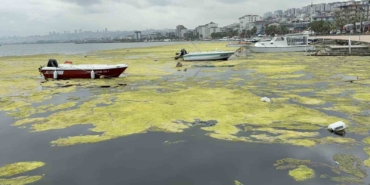 kurupelit-marinadaki-deniz-marulu-sorununa-nester-345-bin-metrekup-dip-camuru-temizlenecek-46z5Qhpj.jpg
