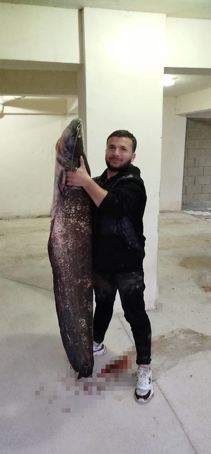 kuruyan golde yayin avi 3 uatXe73r