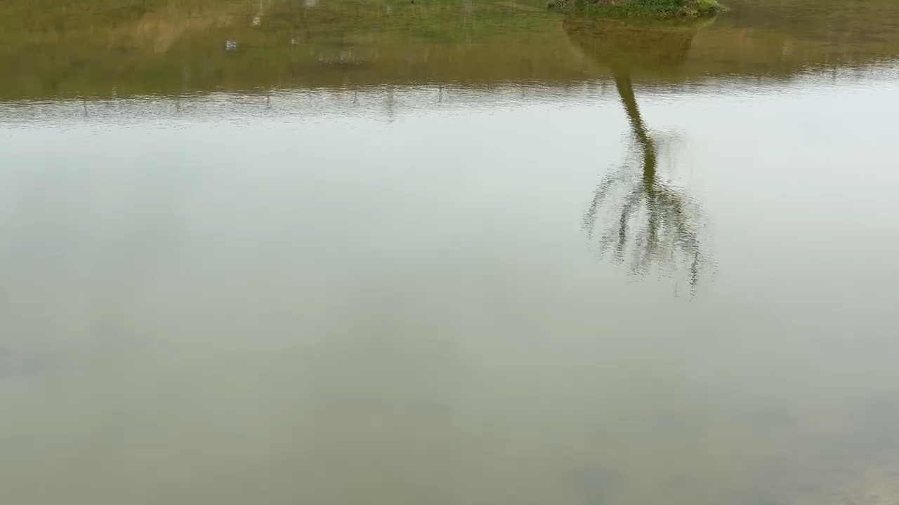 kuruyan golet yeniden canlandi catlayan topraklar suyla bulustu 3 evJbAVZ5