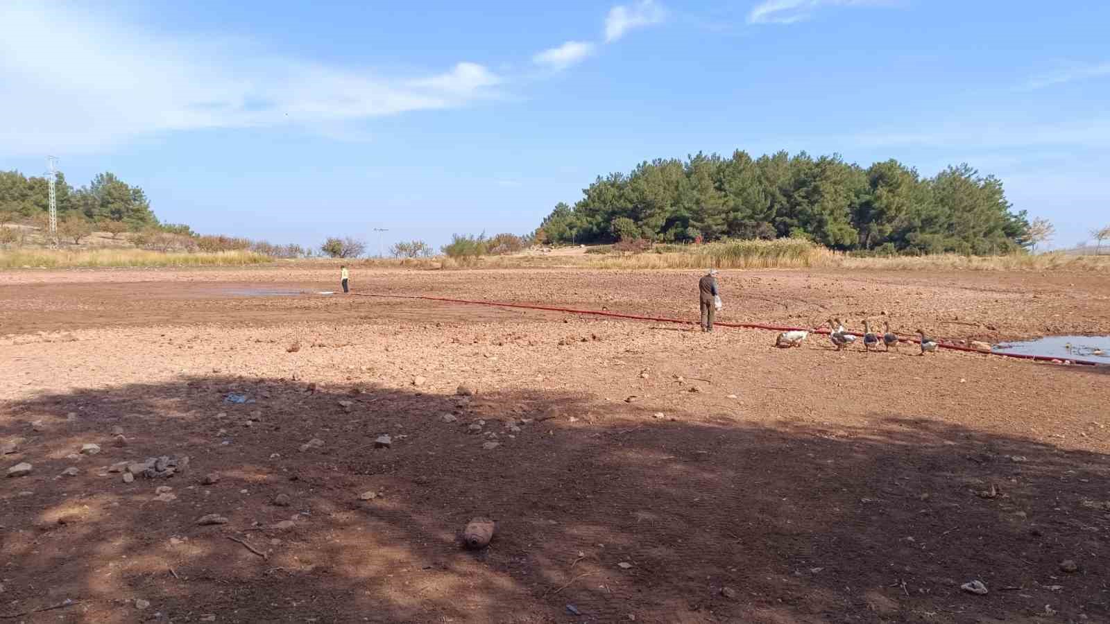 kuruyan suluklu gol yeniden canlandi 3 DuathU7L