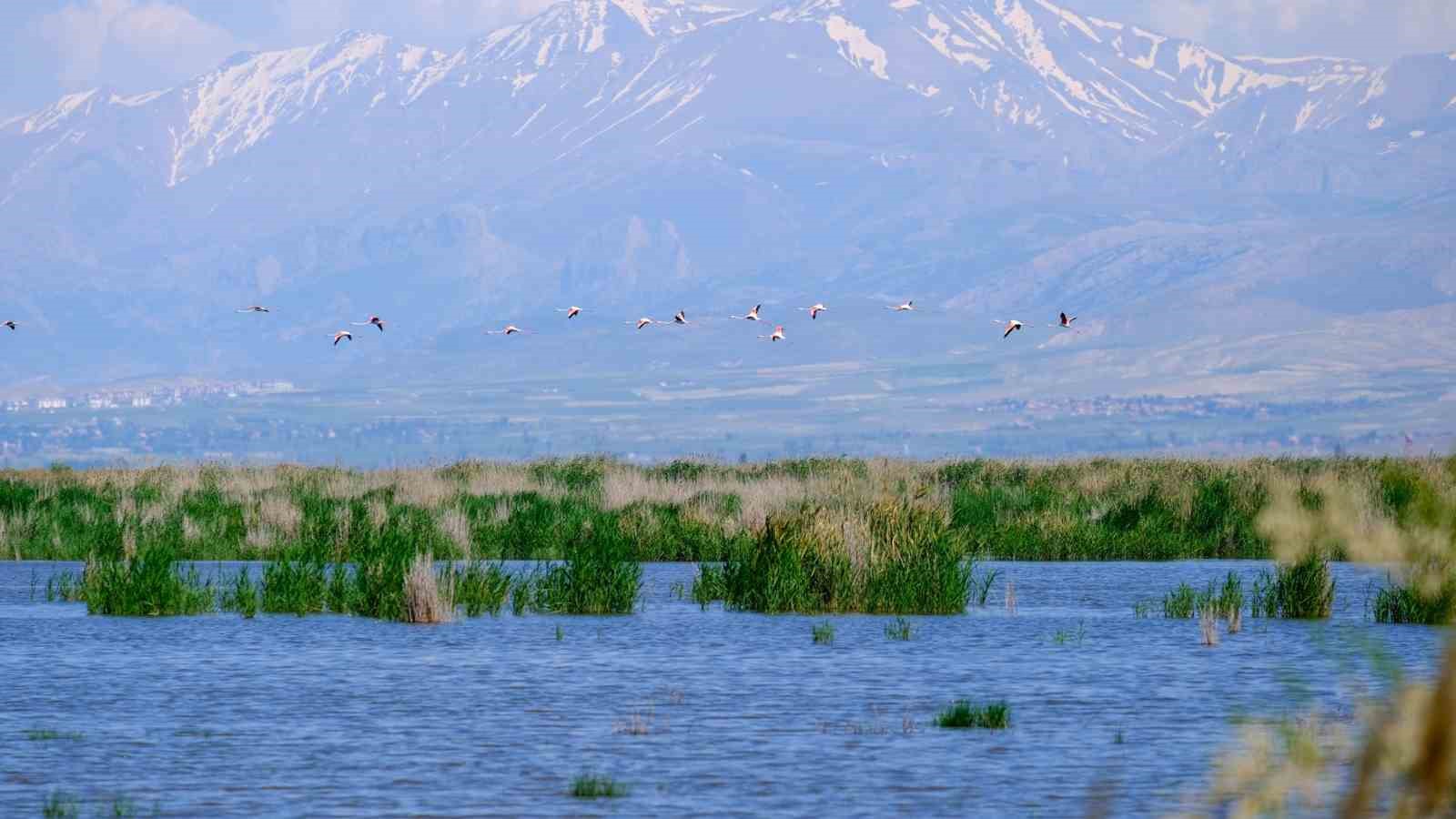 kus cenneti akgol eski gunlerine dondu alli turnalar gorsel solen sunuyor 4 w4HMVvwi