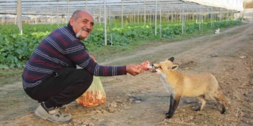 kus-olan-kardeslerin-tilki-rekabeti-agabey-mangal-partisi-yapiyor-kardesi-pastayla-besliyor-gkJysKxA.jpg