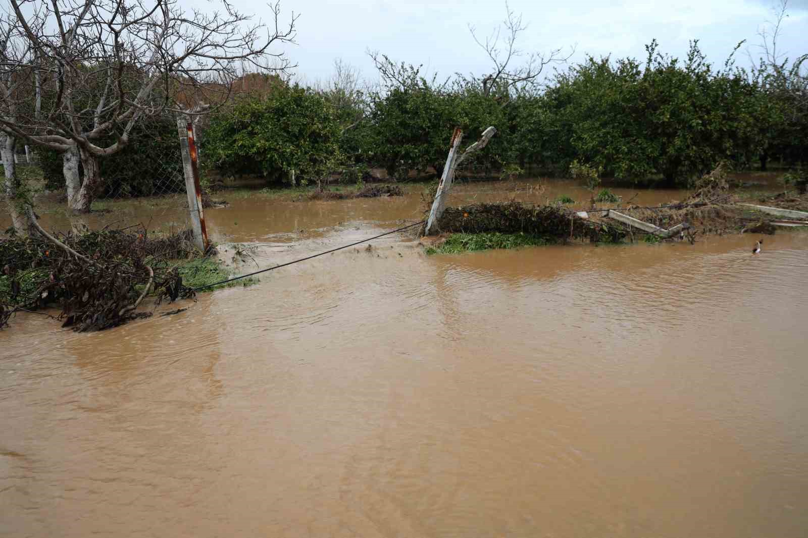 kusadasinda bahceler gole dondu agaclar sular altinda kaldi 4 UZ1KRvb7
