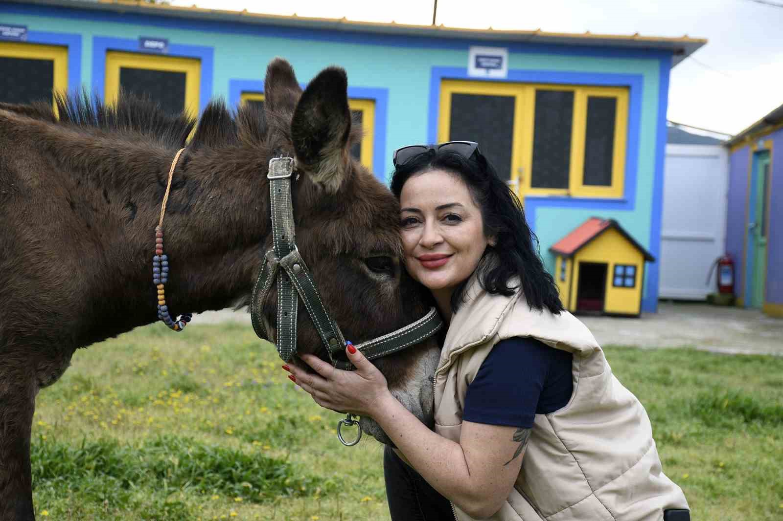 kusadasindan saplandigi camurdan kurtarilan esek koruma altina alindi 0 fDmeuYzF
