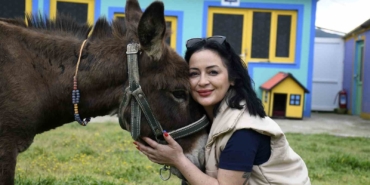 kusadasindan-saplandigi-camurdan-kurtarilan-esek-koruma-altina-alindi-7lTf9f9k.jpg