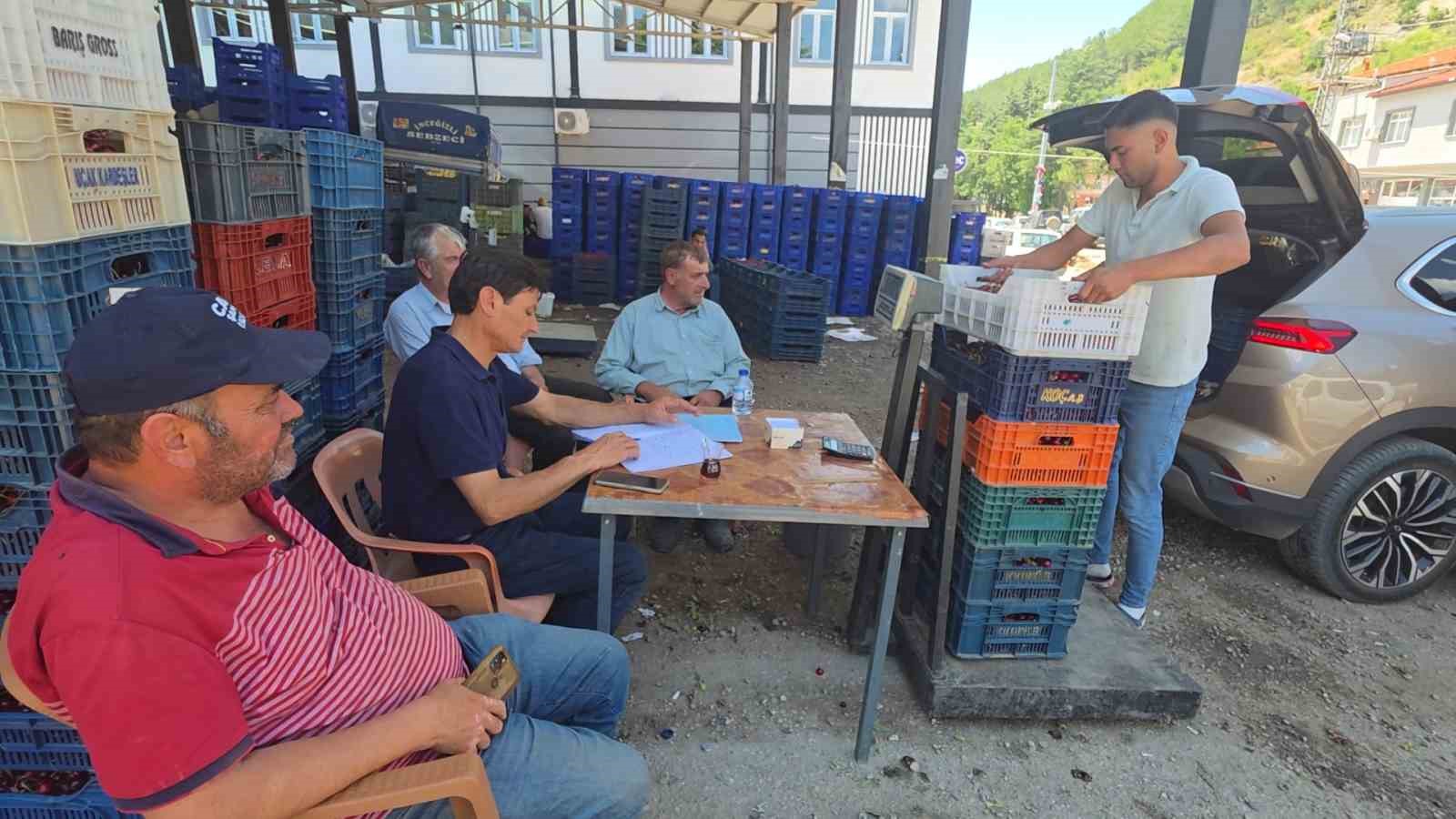 Kütahya Şaphane’de kiraz hasadı başladı 5 kutahya saphanede kiraz hasadi basladi 1 YOEufi9z