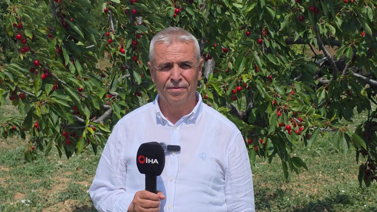 Kütahya Şaphane’de kiraz hasadı başladı 9 kutahya saphanede kiraz hasadi basladi 5 mgpkOTRU