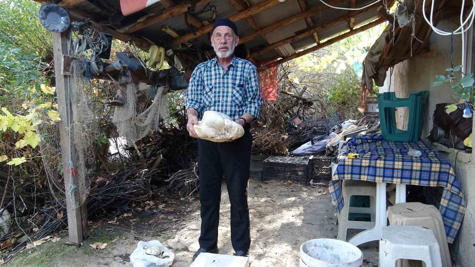 kutahyada 3 kilo dev mantar bulundu 3 LrmHbjeF