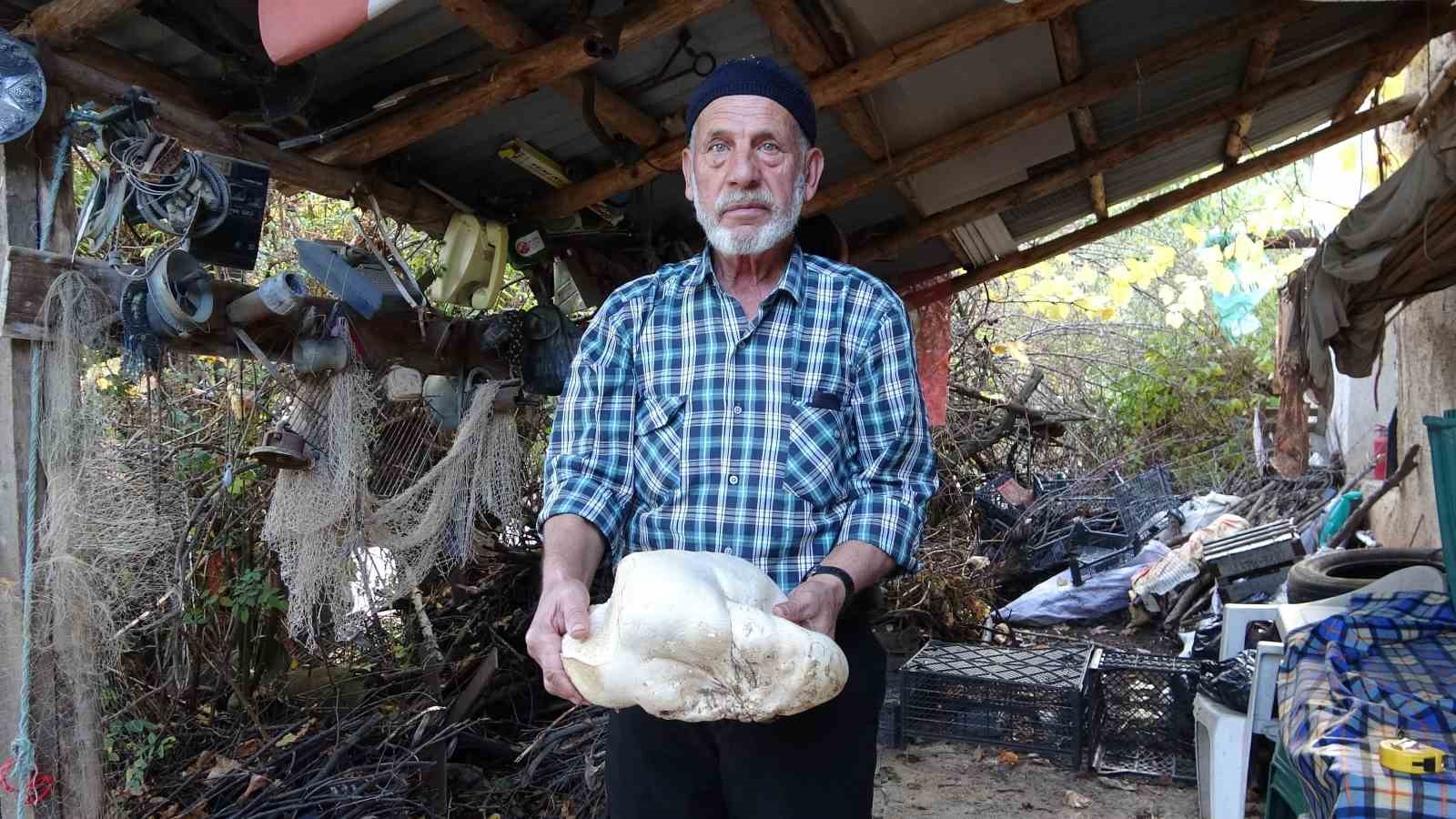 kutahyada 3 kilo dev mantar bulundu 4 ApbXNPuB