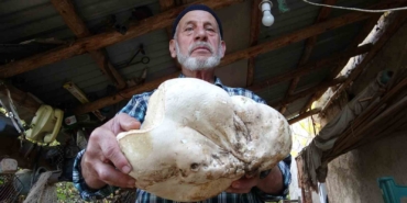 kutahyada-3-kilo-dev-mantar-bulundu-6JeRZfp9.jpg