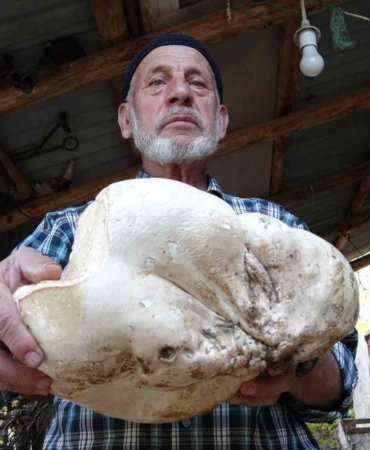 kutahyada-3-kilo-dev-mantar-bulundu-6JeRZfp9.jpg