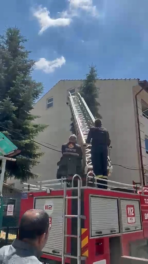 kutahyada agaca takilan serce itfaiye ekiplerince kurtarildi 1