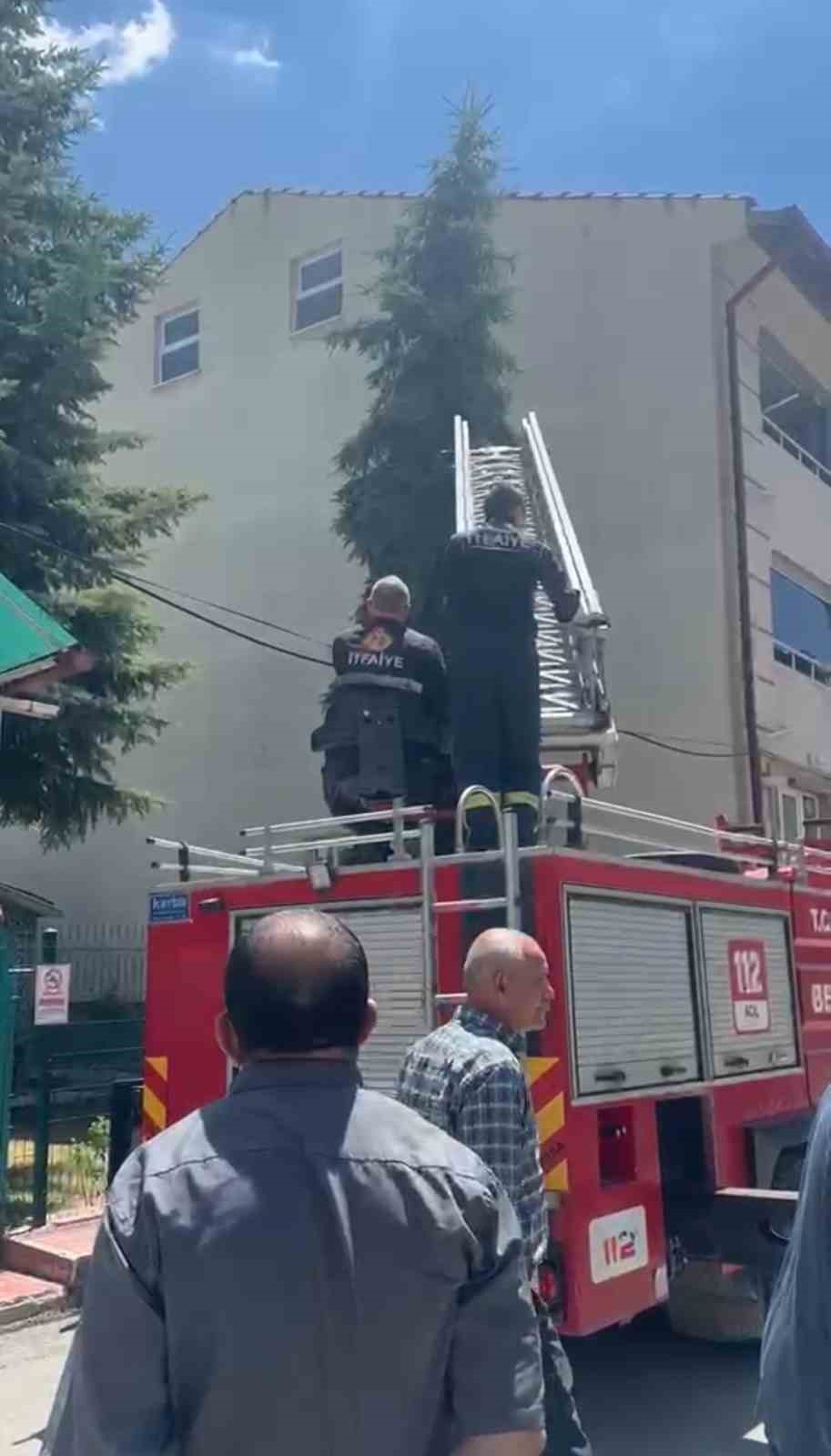 kutahyada agaca takilan serce itfaiye ekiplerince kurtarildi 4 D6rdQWWR