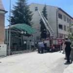 kutahyada-agaca-takilan-serce-itfaiye-ekiplerince-kurtarildi-WAyDzweu.jpg