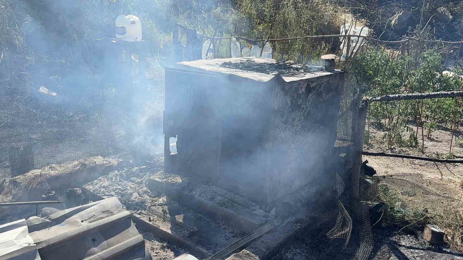 Kütahya’da alevler 11 paçalı güvercini telef etti 4 kutahyada alevler 11 pacali guvercini telef etti 0 UEnUMlXD