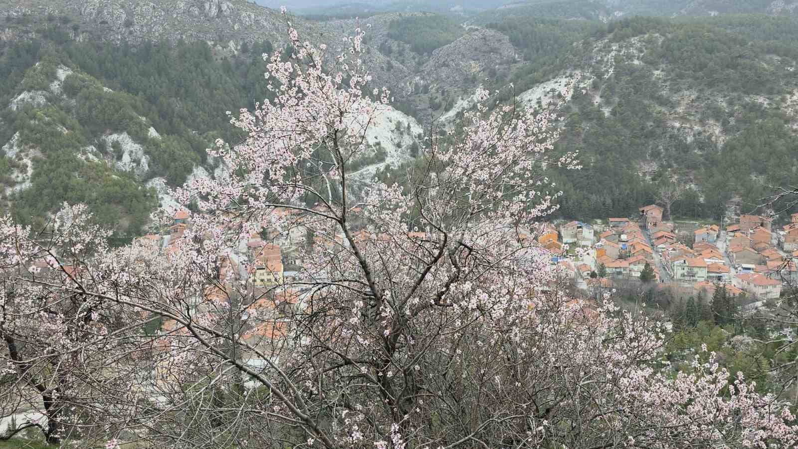 kutahyada badem agaclari cicek acti 2 EzVkYSkd