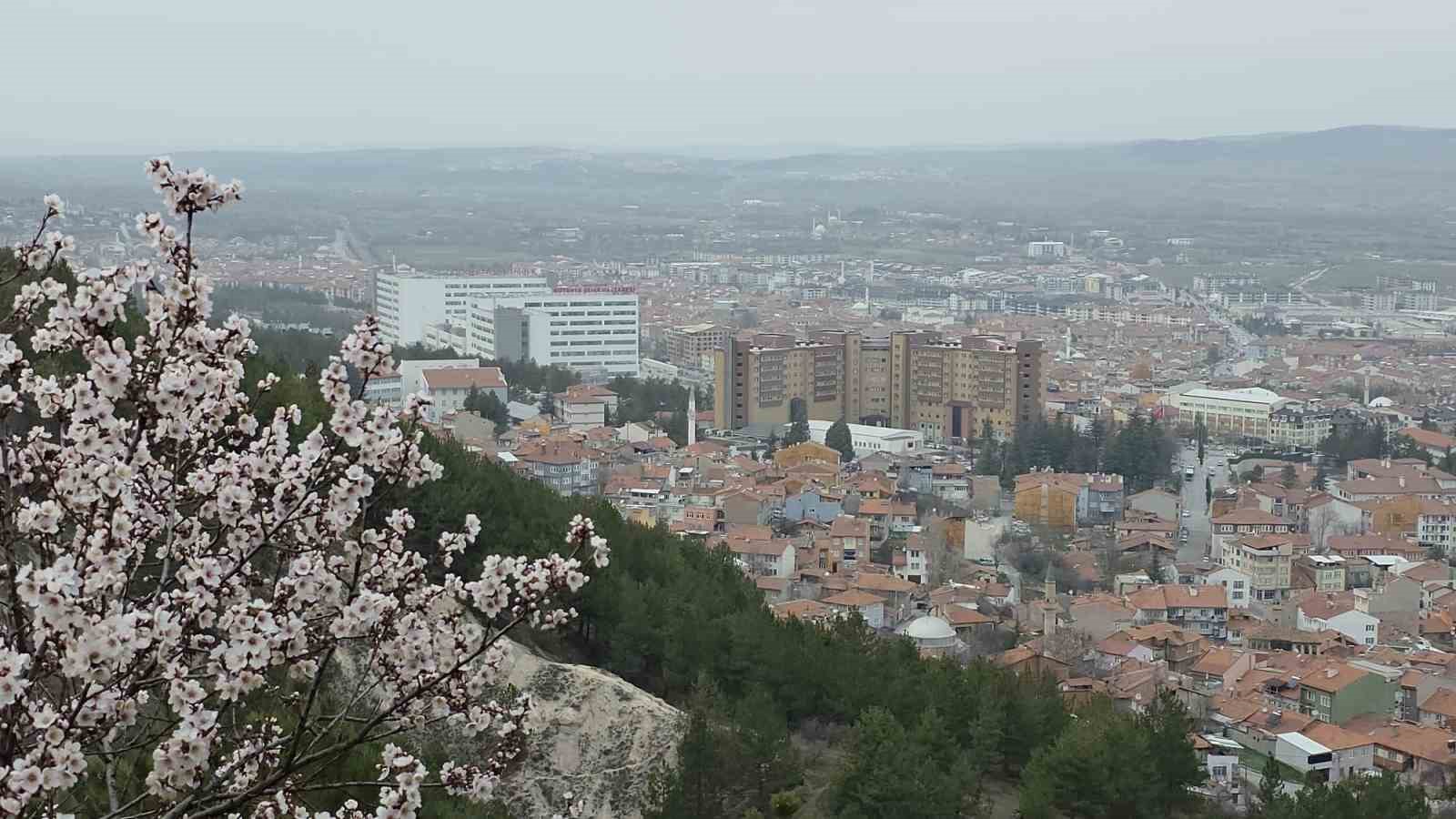 kutahyada badem agaclari cicek acti 3 1nSM4qvO