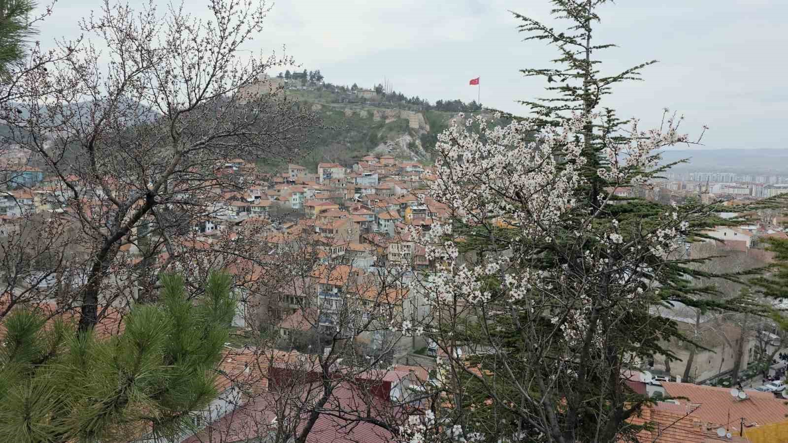 kutahyada badem agaclari cicek acti 8 lUfOYRCh