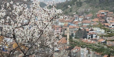 kutahyada-badem-agaclari-cicek-acti-YCTwWZB3.jpg