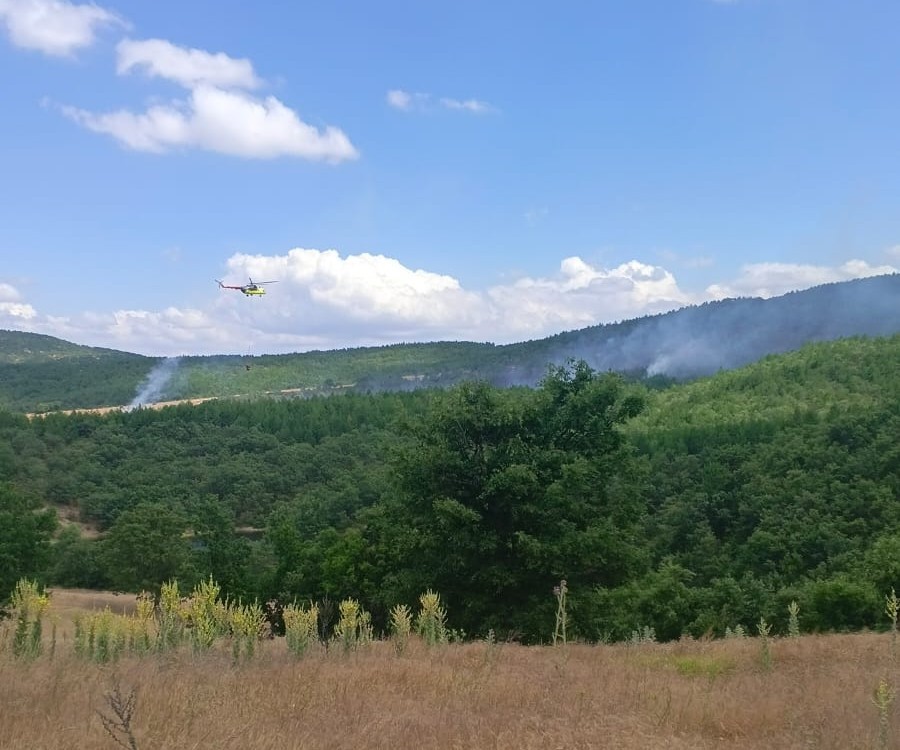 Kütahya’da ev yangını ormana sıçradı, 3 hektar alan zarar gördü 4 kutahyada ev yangini ormana sicradi 3 hektar alan zarar gordu 0 8uurcUFG