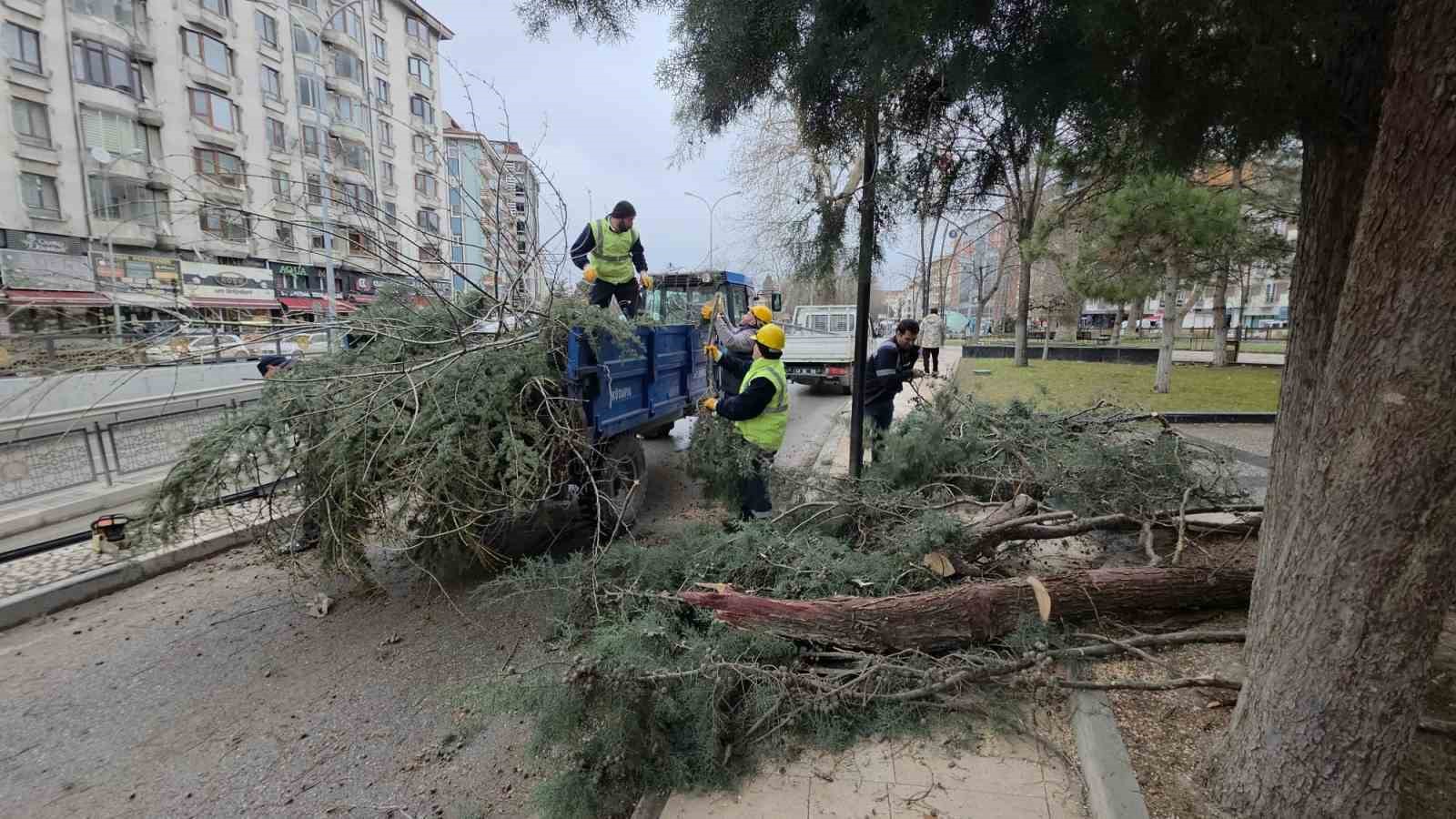 Kütahya’da fırtına ve aşırı rüzgâr ağaçları devirdi 9 kutahyada firtina ve asiri ruzg r agaclari devirdi 5 CmeePir1