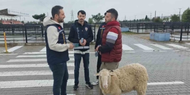 kutahyada-kurbanlik-pazarinda-sahte-para-ve-dolandiricilik-uyarisi-XhNb3RIX.jpg