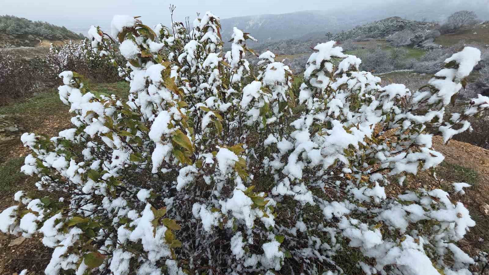 kutahyada nisan kari ureticileri endiselendirdi 5 TEFzmZM9