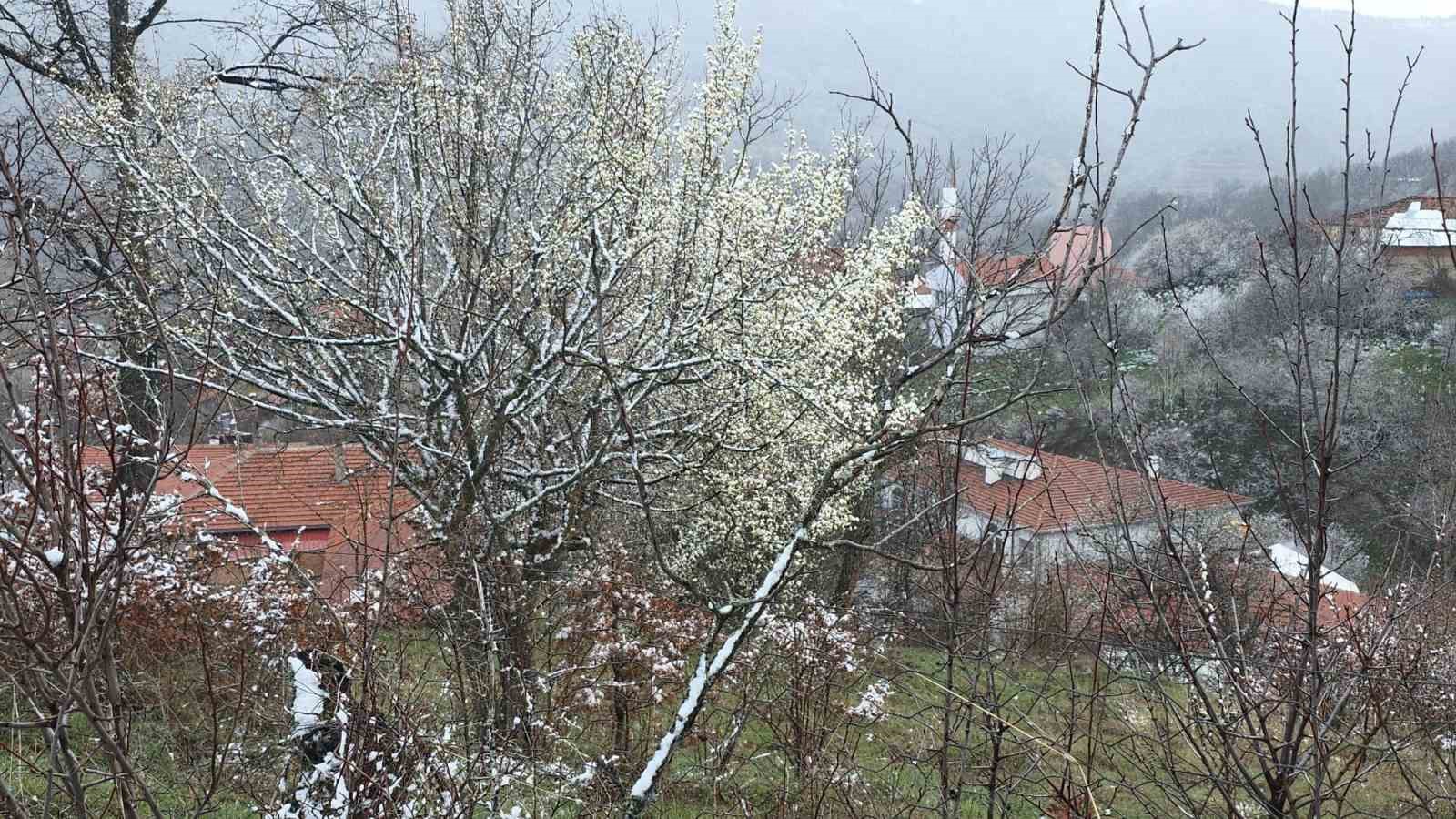 kutahyada nisan kari ureticileri endiselendirdi 6 IJQlndqV