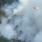 kutahyada-orman-yangini-fxmz2AEJ.jpg