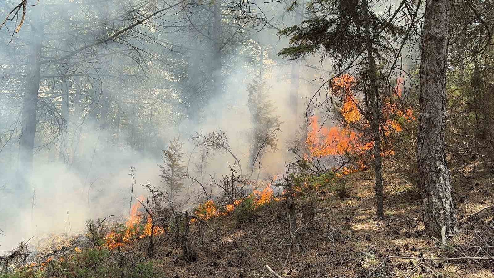 kutahyada ormanlik alanda cikan yangin helikopter destegi ile sonduruldu 0 lU7rzY7c