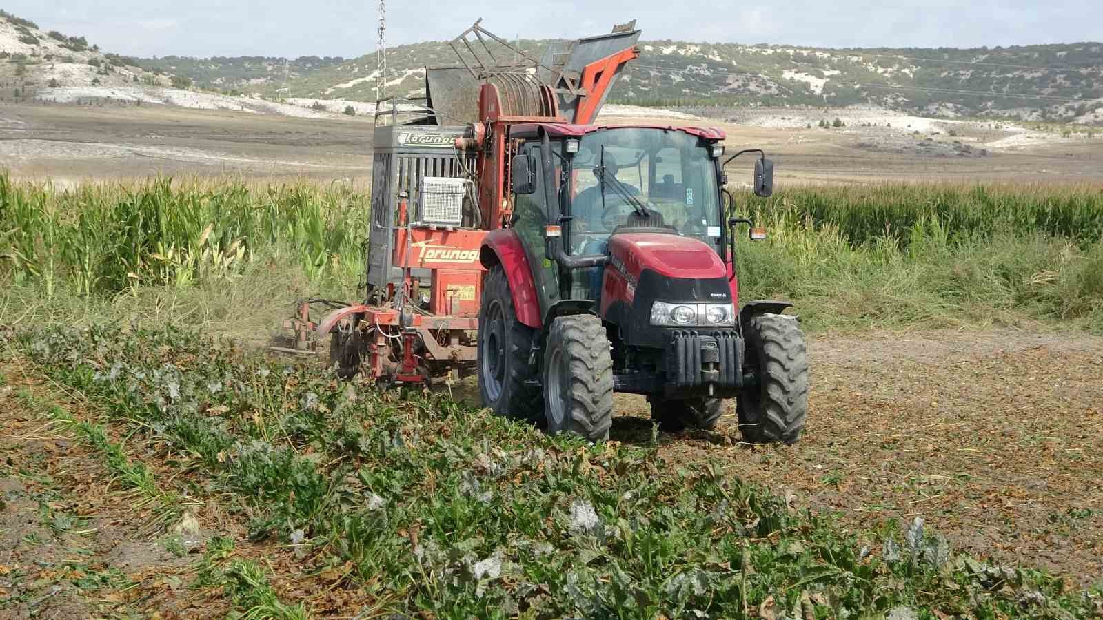 kutahyada pancar hasadi basladi 1 lsgllIXY