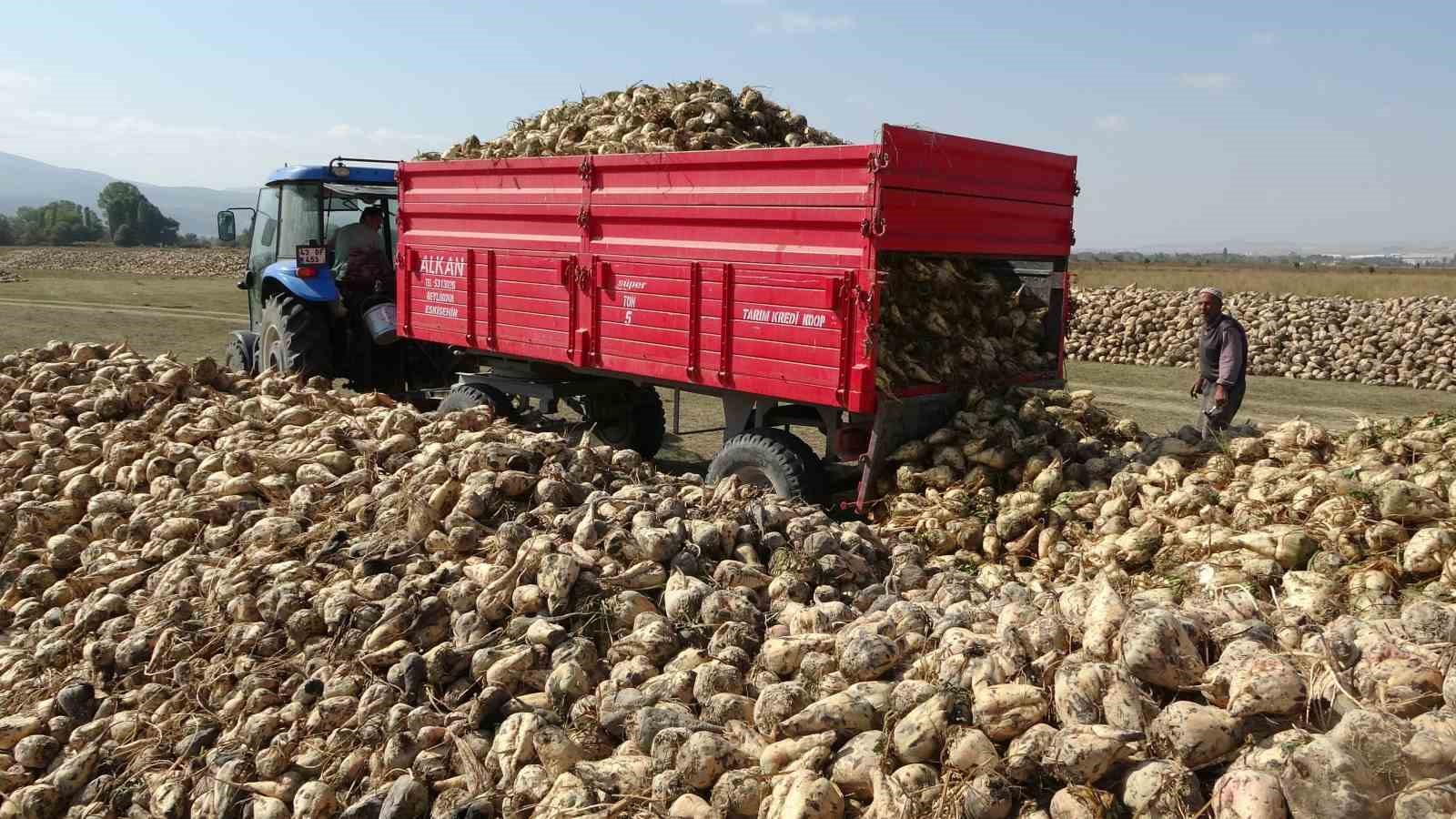 kutahyada pancar hasadi basladi 2 Bzanslqj