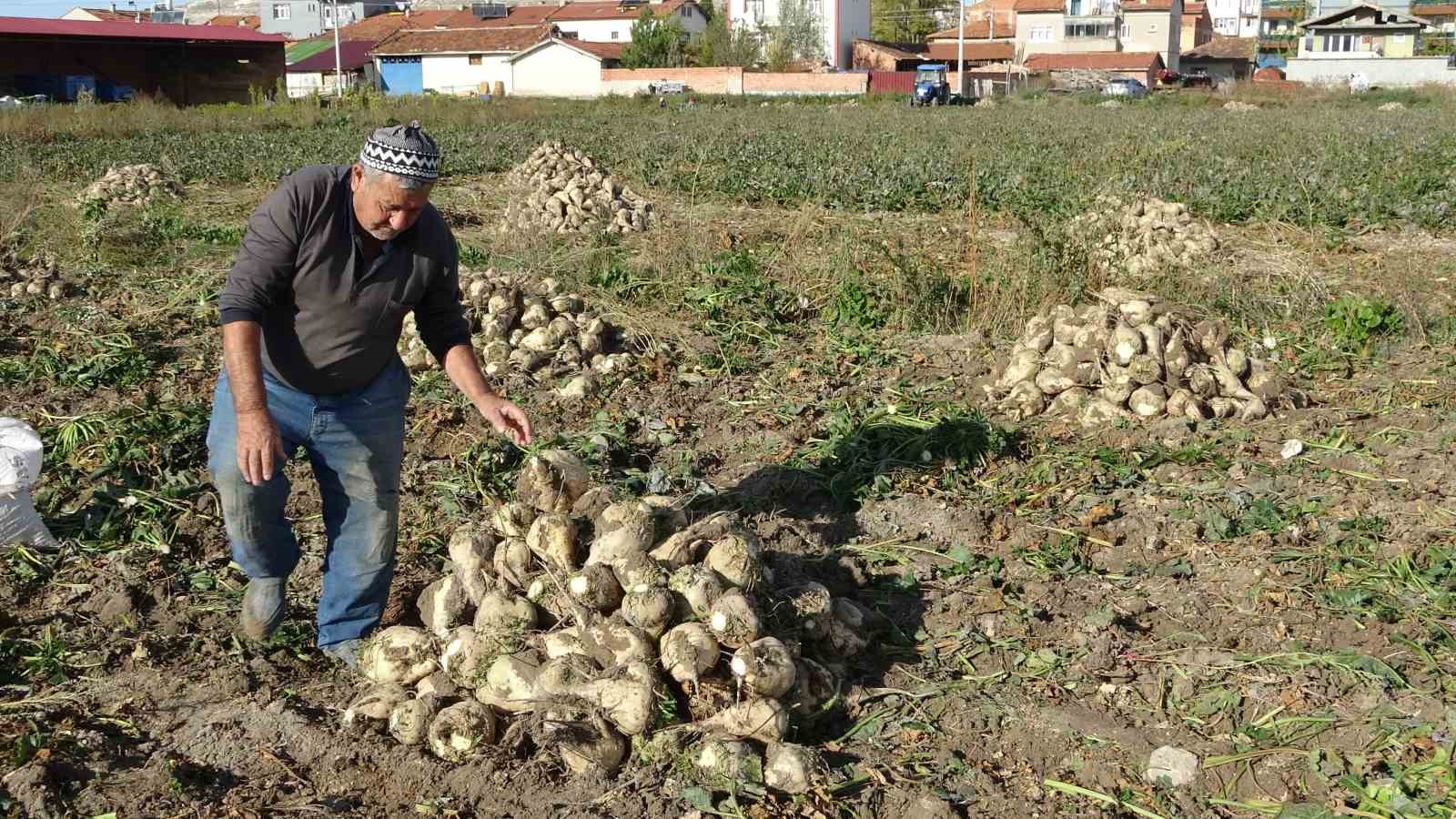 kutahyada pancar hasadi basladi 4 dh63RJfv