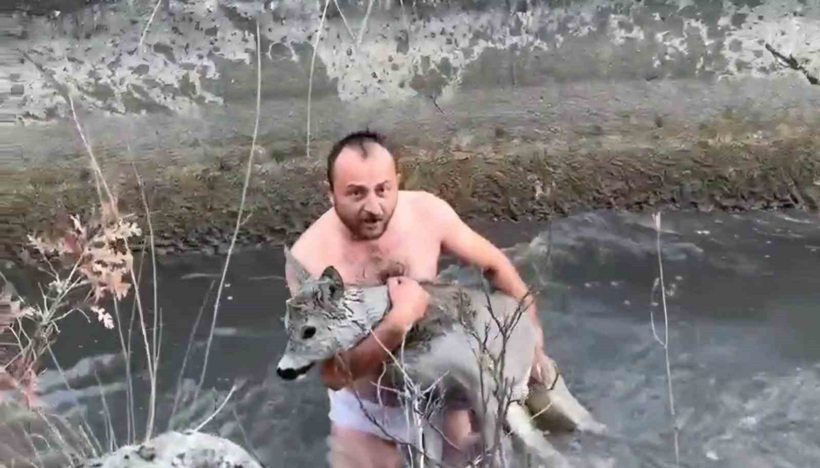 kutahyada su kanalina dusen karaca kurtarildi 0 JRMXDADU