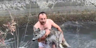 kutahyada-su-kanalina-dusen-karaca-kurtarildi-8c6XLMju.jpg
