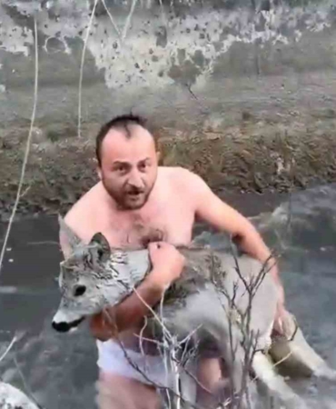kutahyada-su-kanalina-dusen-karaca-kurtarildi-8c6XLMju.jpg