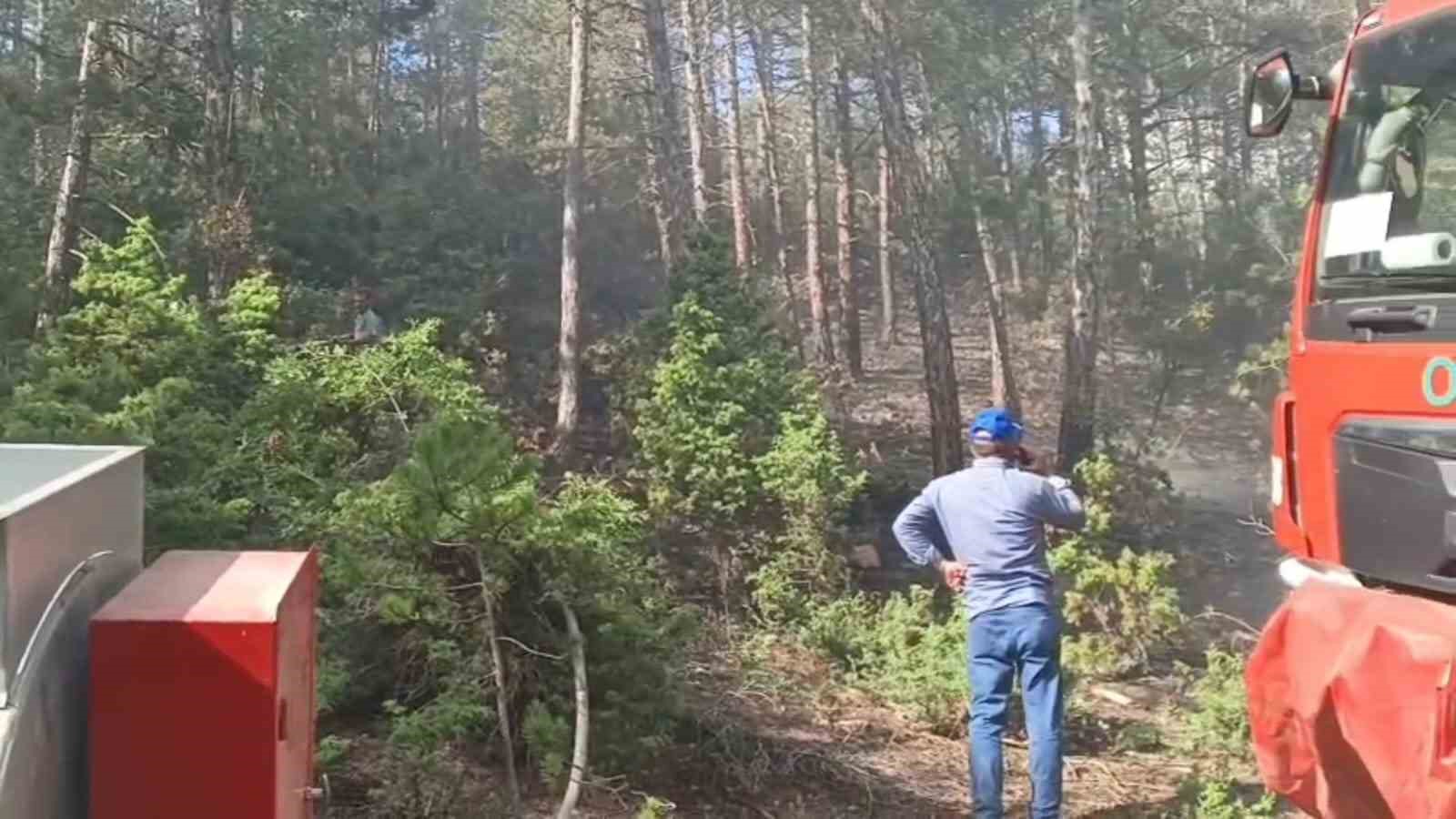 Kütahya’da yıldırım orman yangınına neden oldu 7 kutahyada yildirim orman yanginina neden oldu 3 AtUwBeXk