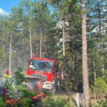 kutahyada-yildirim-orman-yanginina-neden-oldu-QieG3qhl.jpg