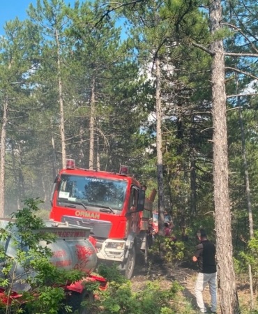 kutahyada-yildirim-orman-yanginina-neden-oldu-QieG3qhl.jpg