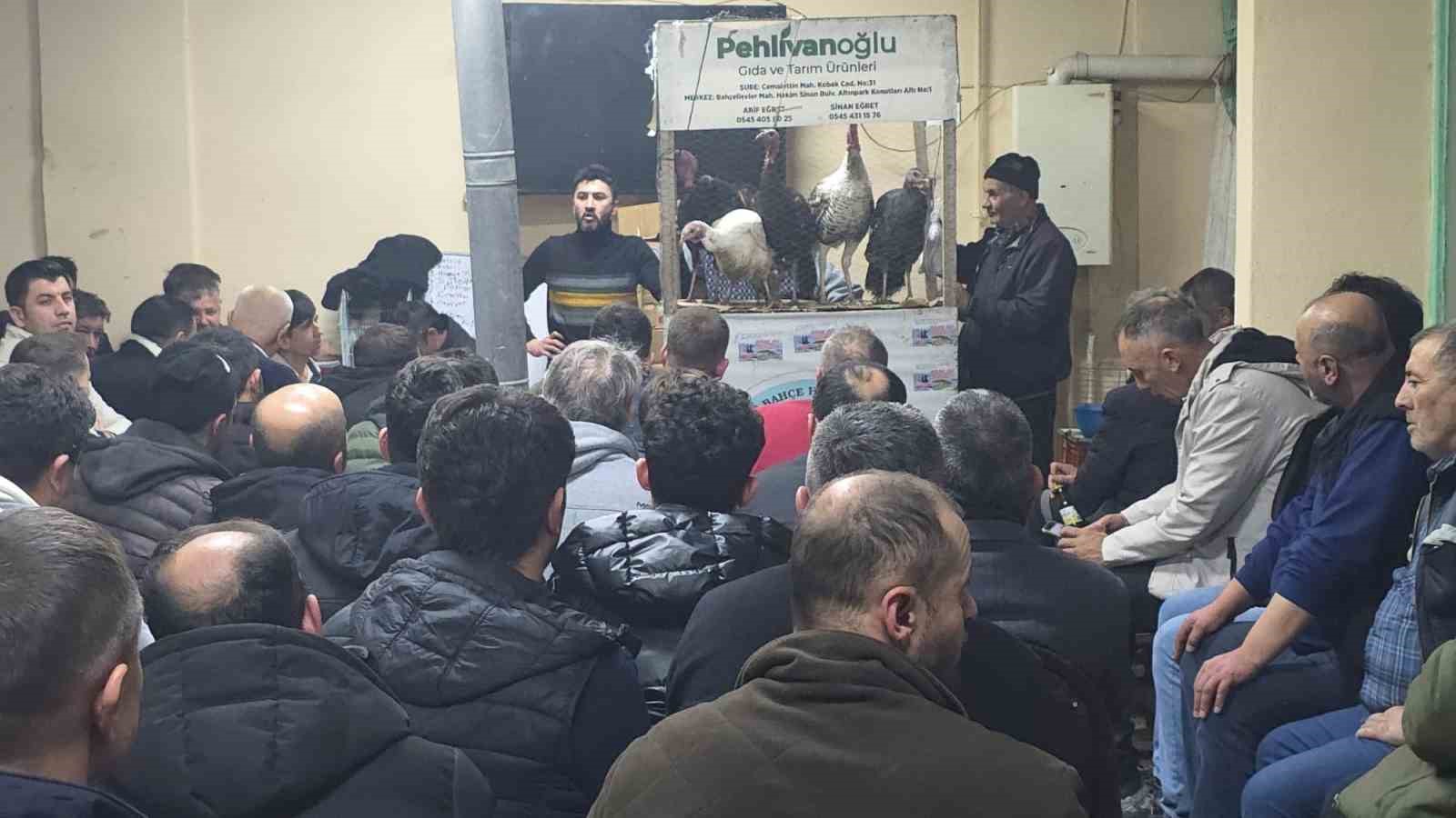 Kütahya’daki süs tavukları açık artırmayla satıldı 5 kutahyadaki sus tavuklari acik artirmayla satildi 1 Y3sd772s