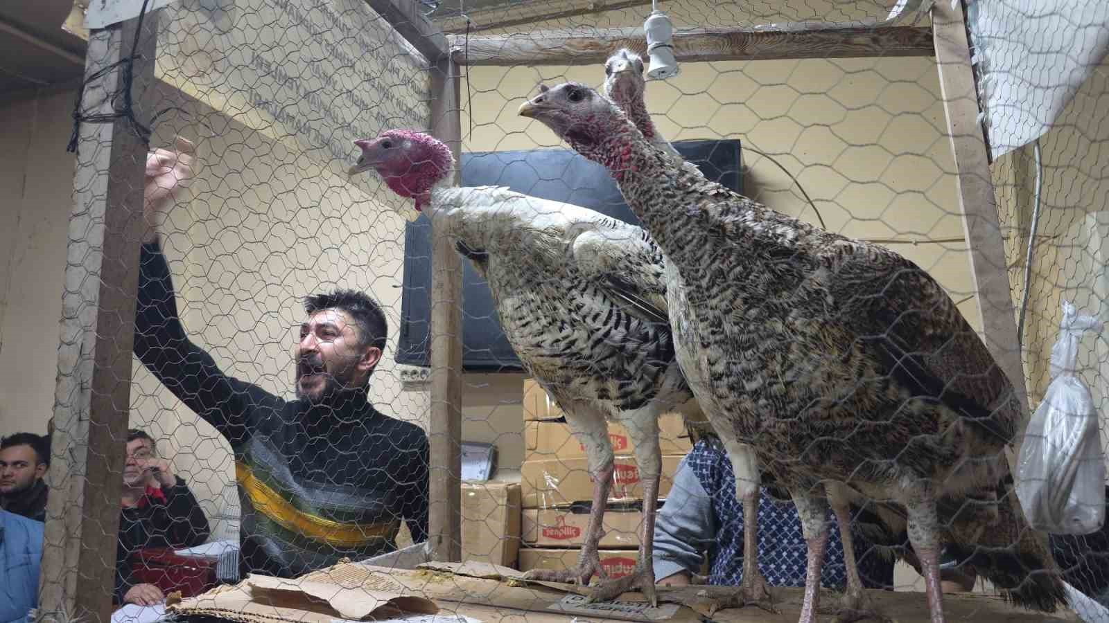 Kütahya’daki süs tavukları açık artırmayla satıldı 7 kutahyadaki sus tavuklari acik artirmayla satildi 3 Vby2i7Zq