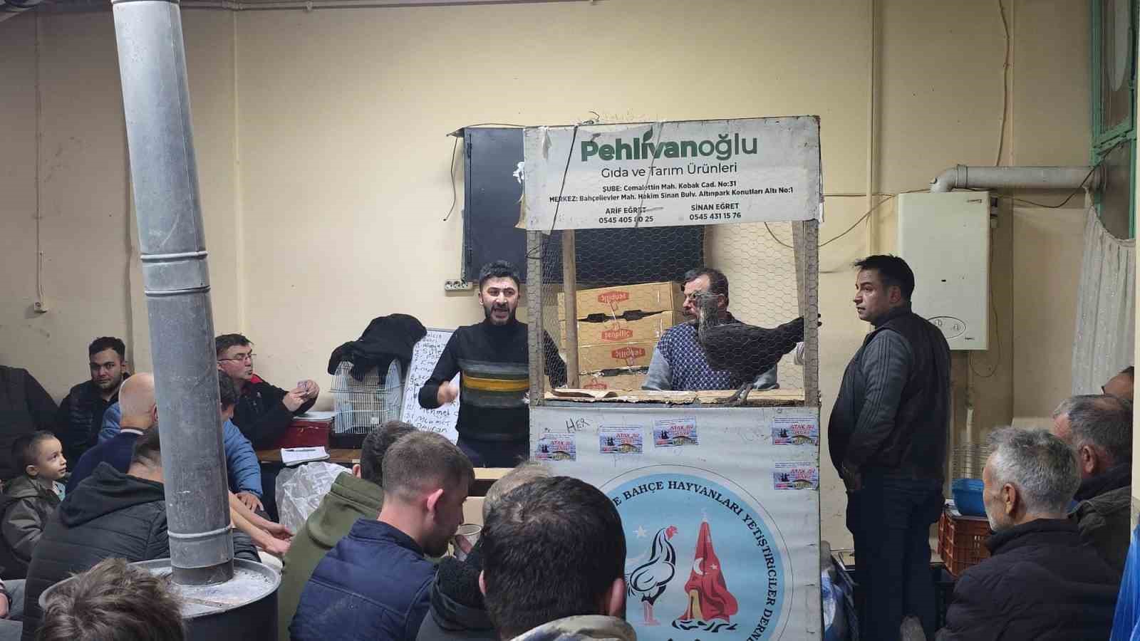 Kütahya’daki süs tavukları açık artırmayla satıldı 10 kutahyadaki sus tavuklari acik artirmayla satildi 6 cM8SljjQ