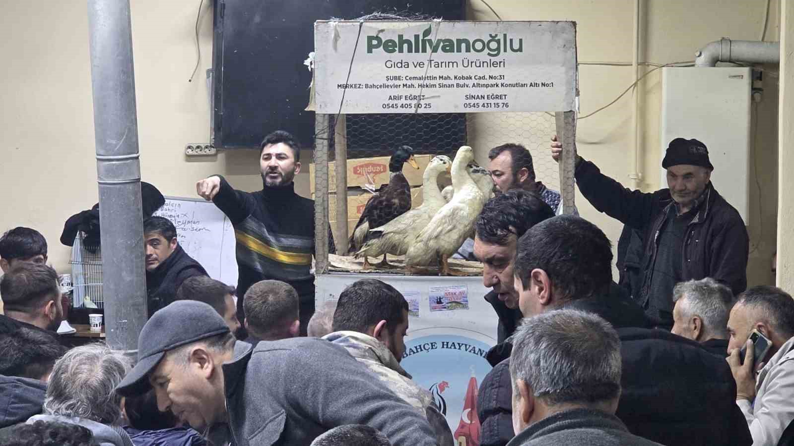 Kütahya’daki süs tavukları açık artırmayla satıldı 12 kutahyadaki sus tavuklari acik artirmayla satildi 8 ziYgzVdu