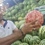 kutahyali-manavin-eliyle-karpuz-soyma-videosu-sosyal-medyada-viral-oldu-Em8D2kik.jpg