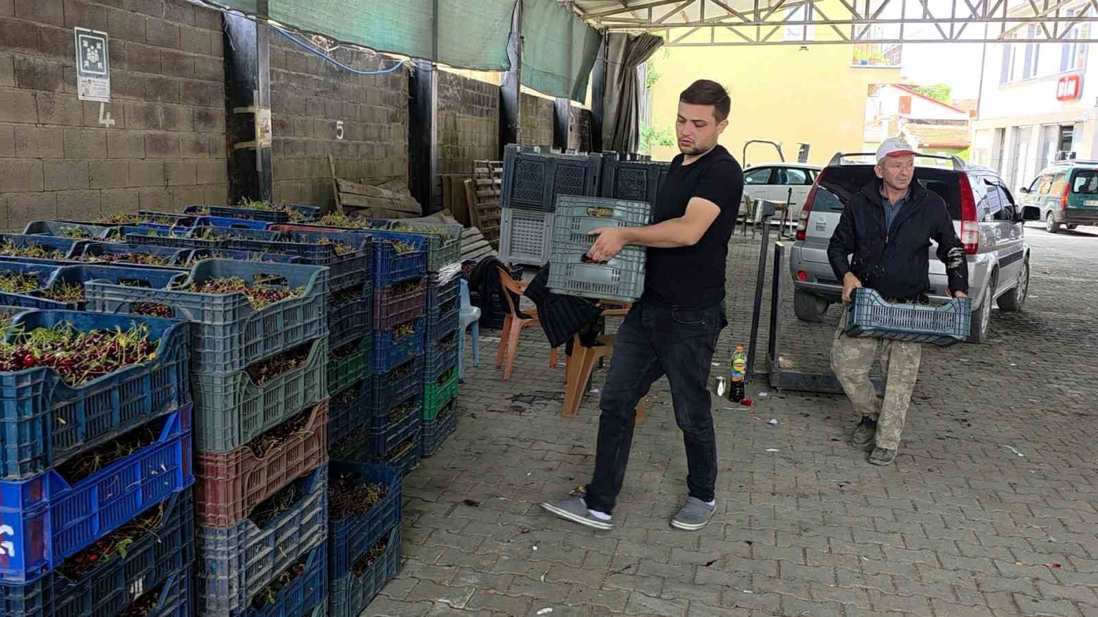 kutahyali visne ureticileri taban fiyat ve fiyat istikrari istiyor 0 jkNbtj9M