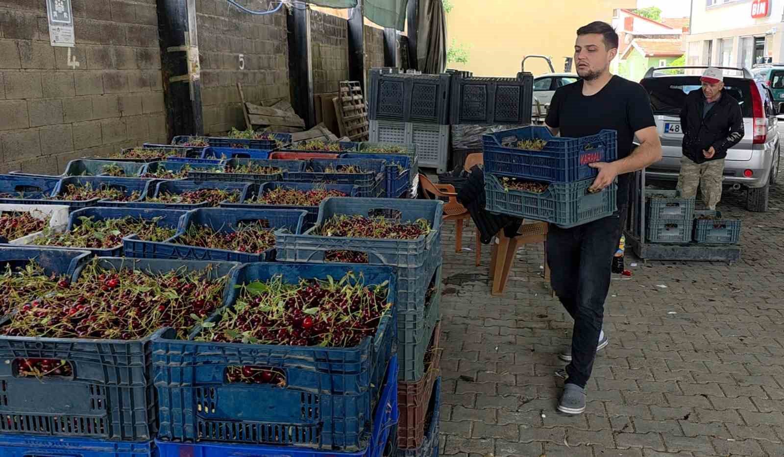 kutahyali visne ureticileri taban fiyat ve fiyat istikrari istiyor 1 5dhm4UVU
