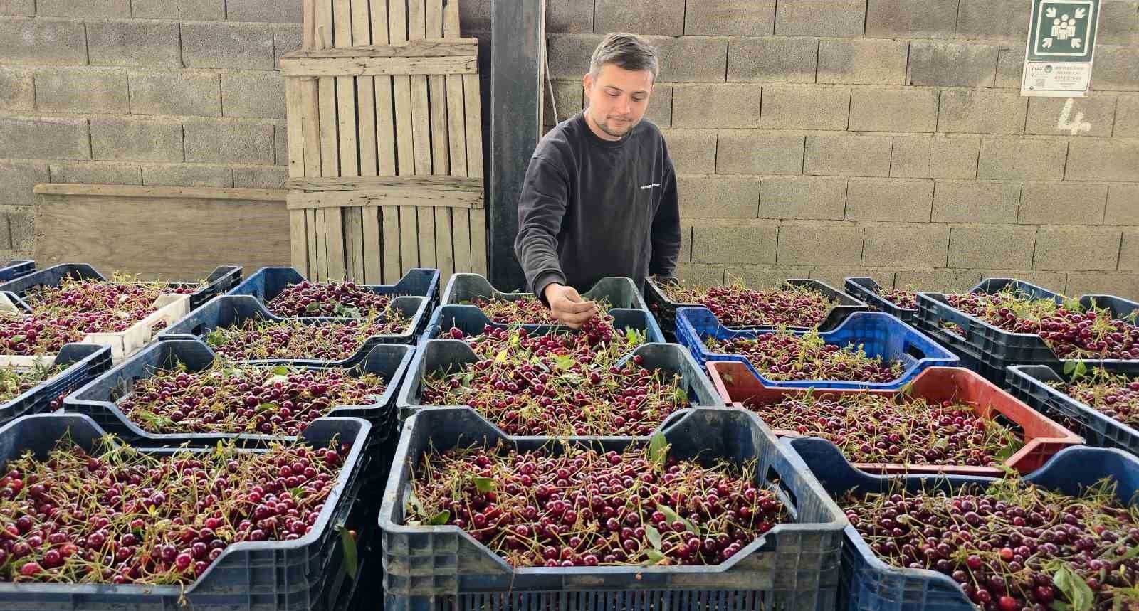 kutahyali visne ureticileri taban fiyat ve fiyat istikrari istiyor 4 1LQkqiW3