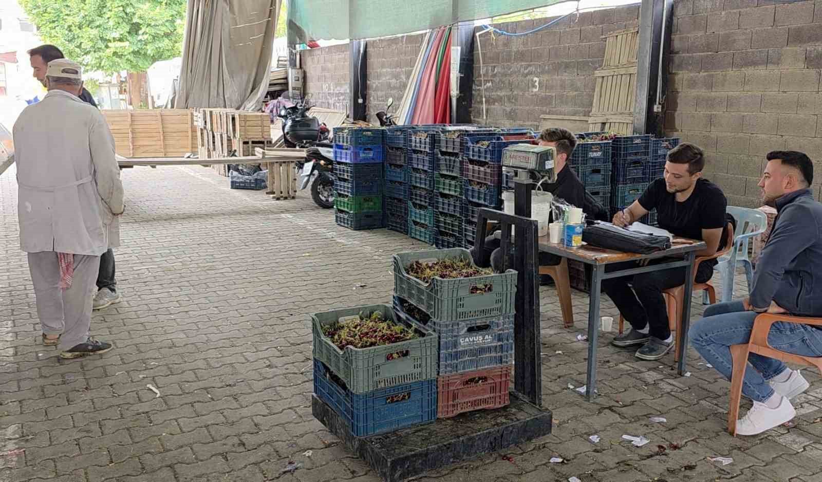 kutahyali visne ureticileri taban fiyat ve fiyat istikrari istiyor 7 59YGvSXp