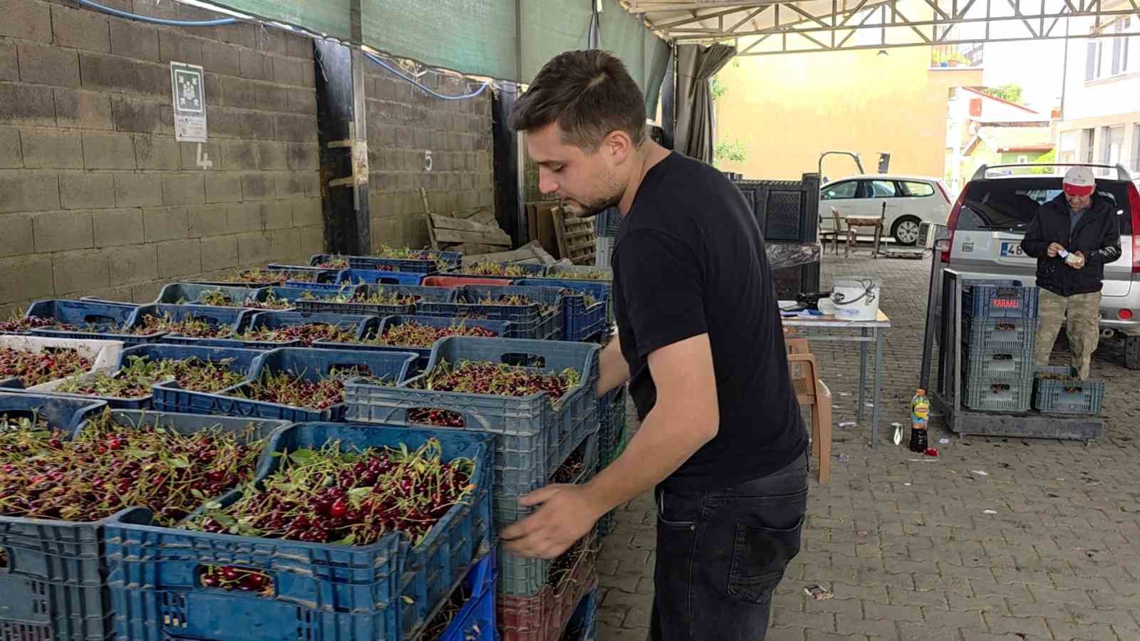 kutahyali visne ureticileri taban fiyat ve fiyat istikrari istiyor 8 EjACQJkR