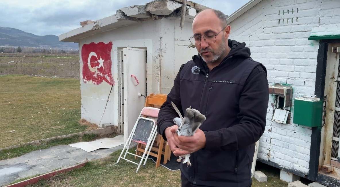 kutahyanin guvercin sevdalilari 3 DszAVXsh